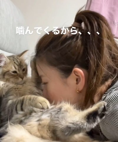 猫のお腹に顔を埋める人