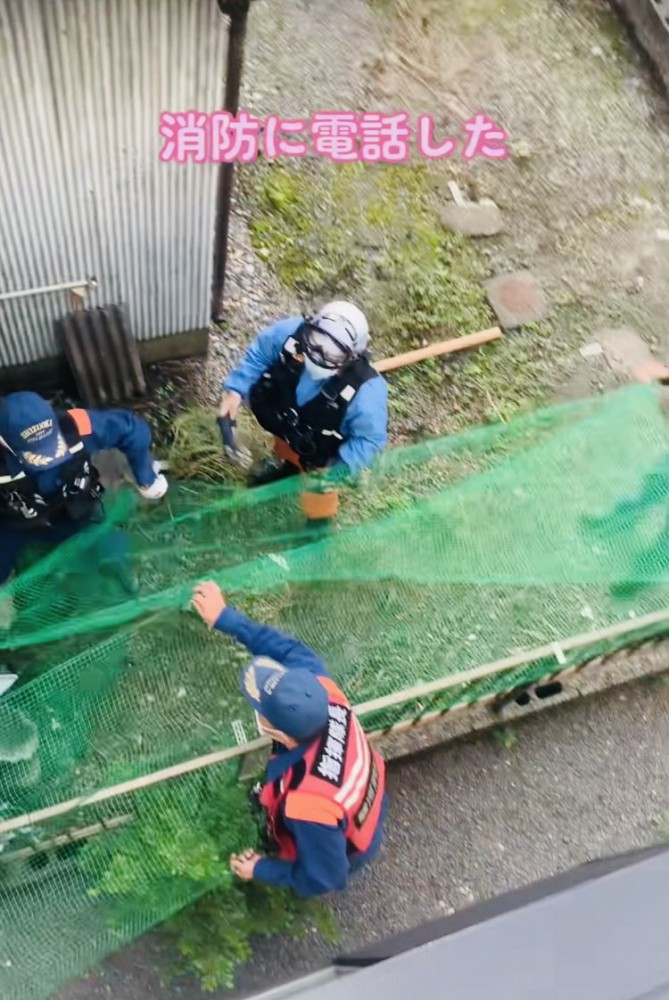 子猫落下に備えてネットを張る消防隊