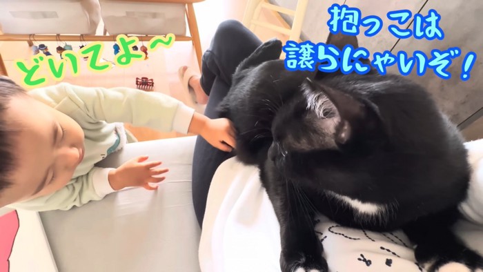 テロップ(右)「抱っこは譲らにゃいぞ!」