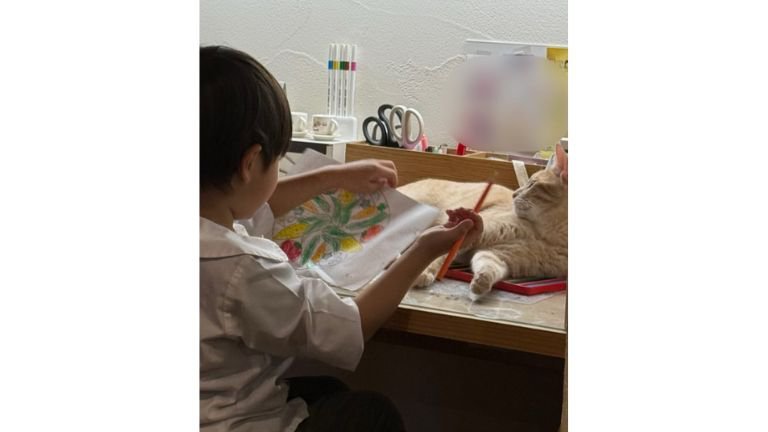 男の子と猫