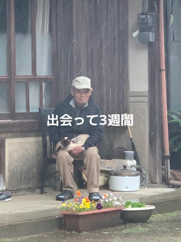 おじいちゃんと猫