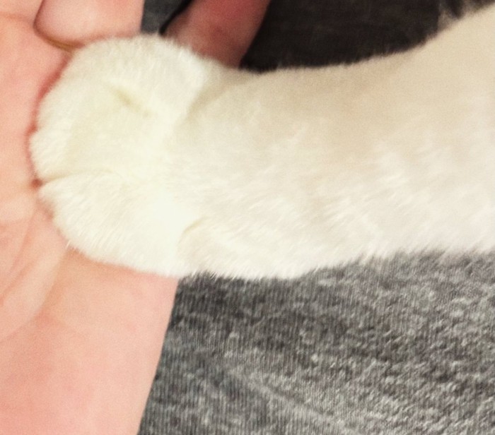 めいちゃんの手