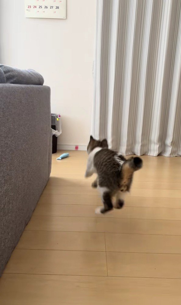 スーパーボールとあきくん