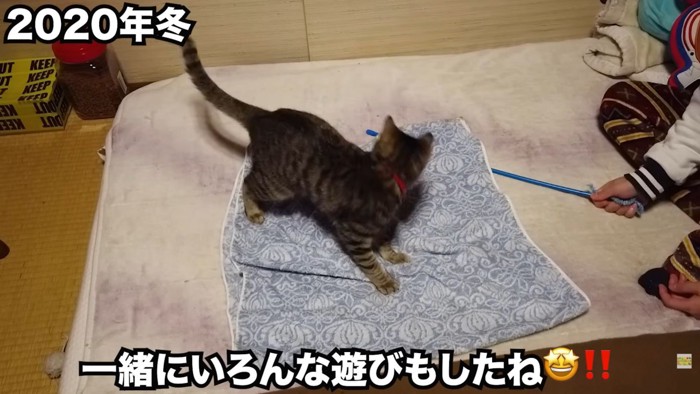 テロップ「一緒にいろんな遊びも~」