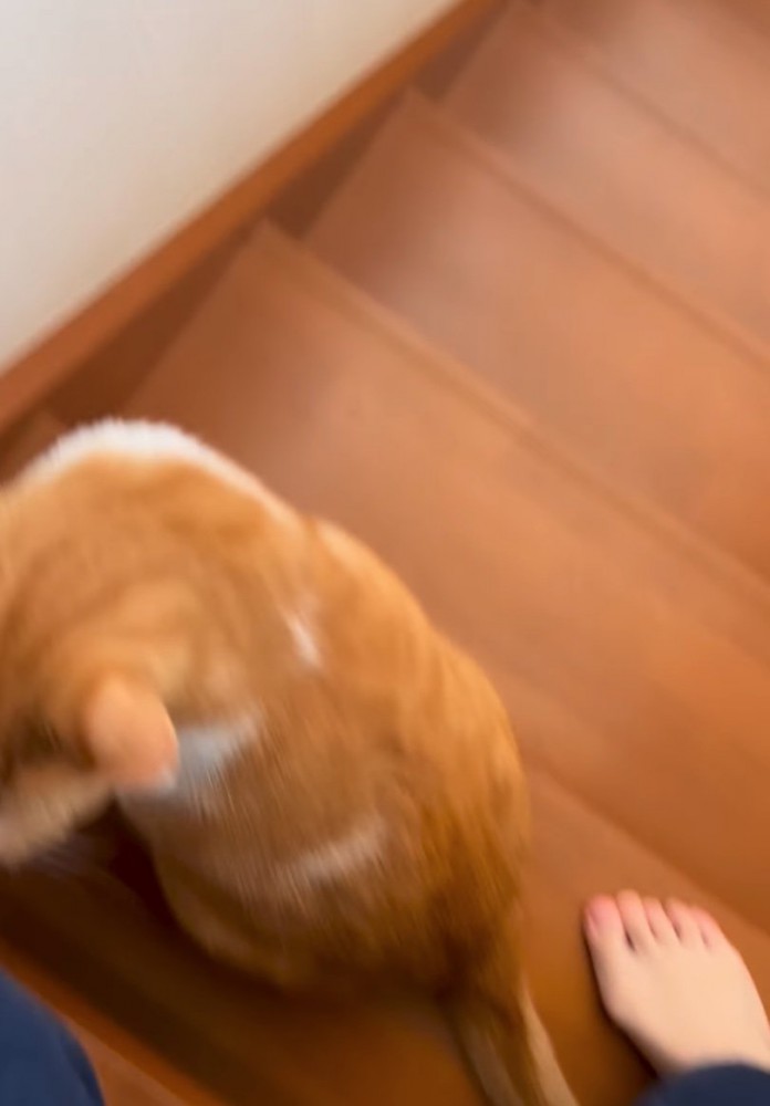 横を通り抜ける