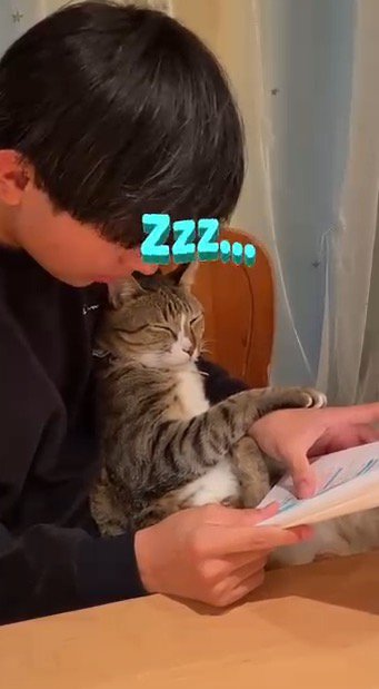 男の子の膝の上で目を閉じる猫