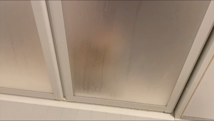 ドアの前で鳴く猫