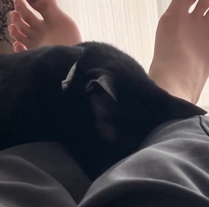 魂が抜けたように眠るナチくん