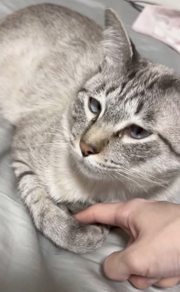 おててに指を入れられる