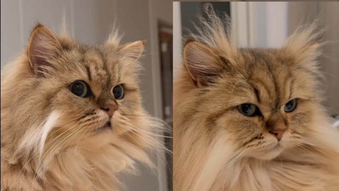 リソラちゃん✕2