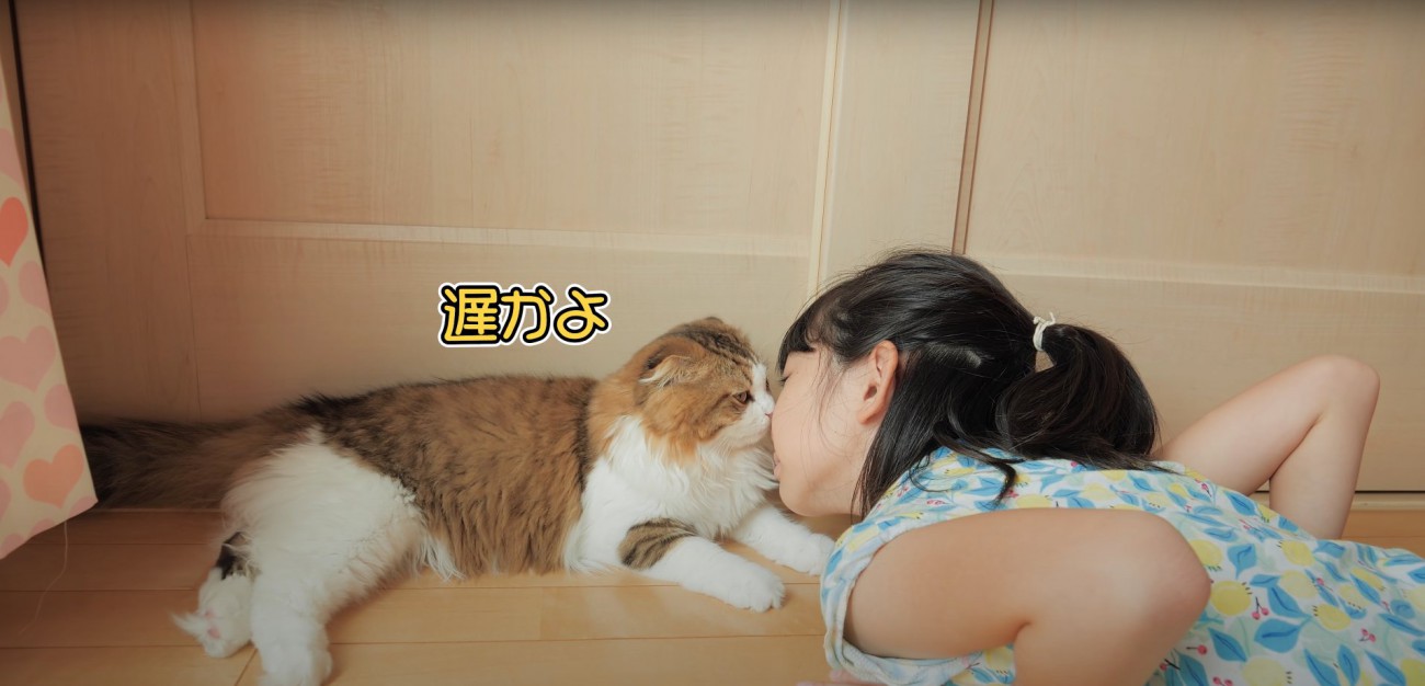 床に寝転がって猫にキスする子供