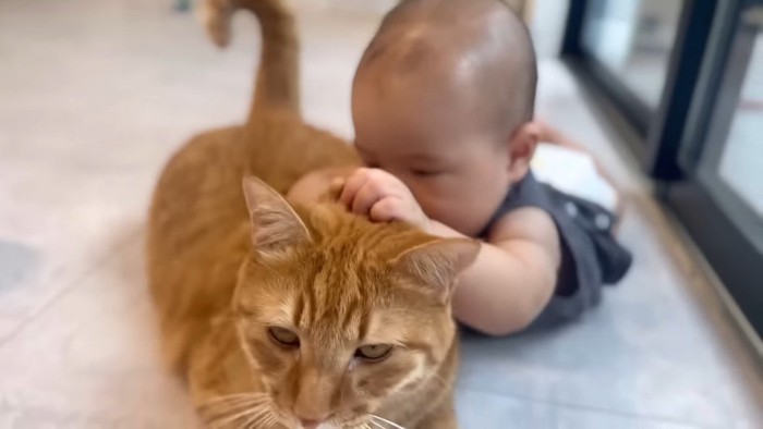 頭をキュッと掴む赤ちゃん