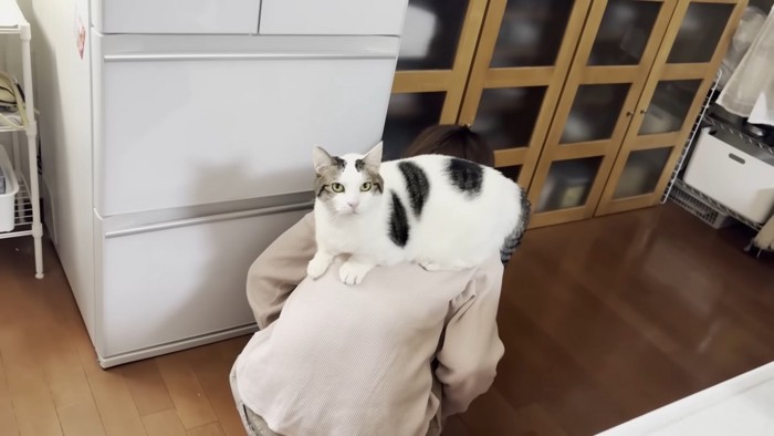 背中に猫ちゃんを乗せたまま冷蔵庫の前にしゃがみ込むママさん