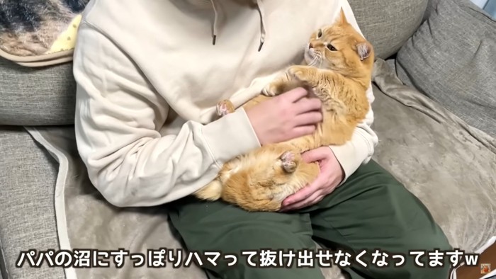 パパさんに抱っこされるプリン