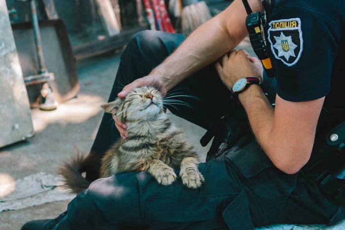 警官になでられる猫