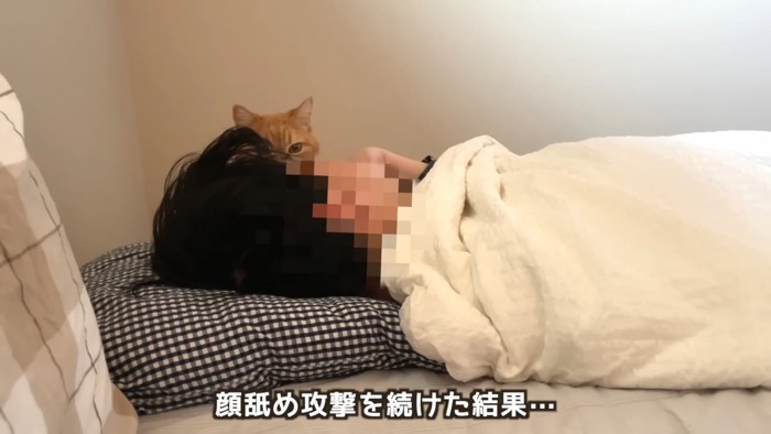 寝ている人の横に座る猫