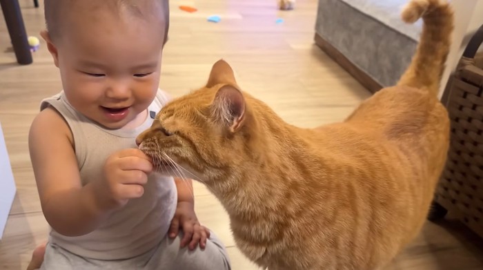 猫におやつをあげる赤ちゃん