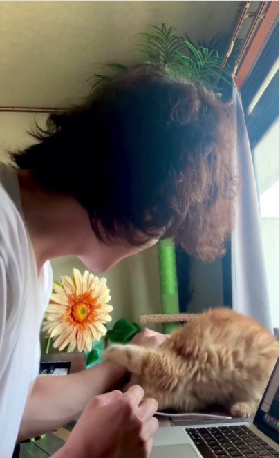 人の腕を噛んでいる猫