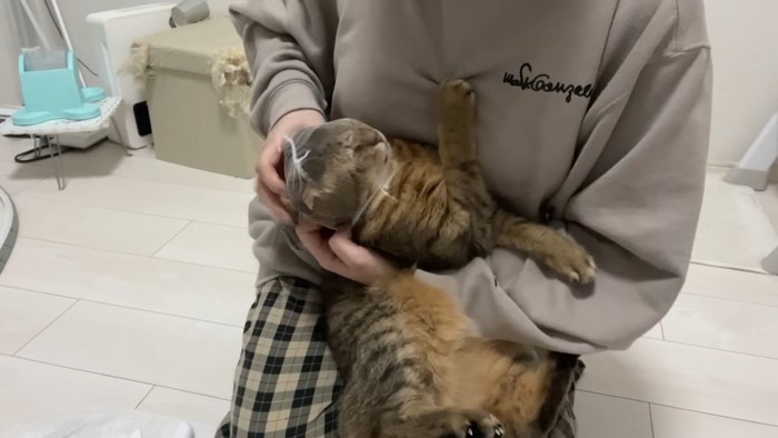 ネットを被せて