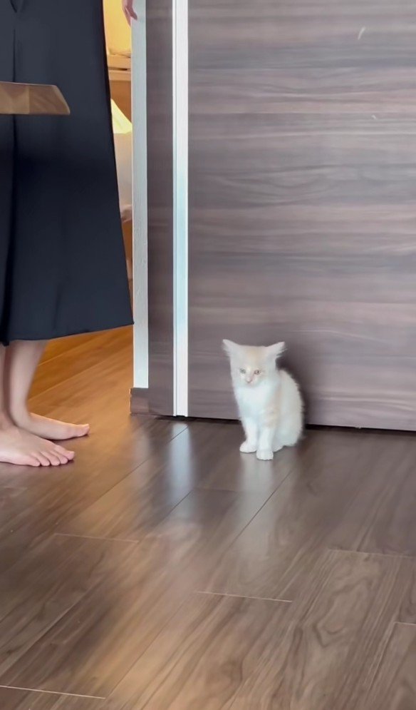 座り込むバンビくん