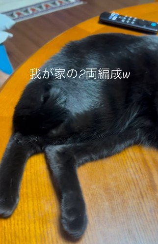 横たわった黒猫の足元