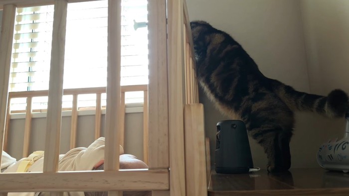 掴まり立ち