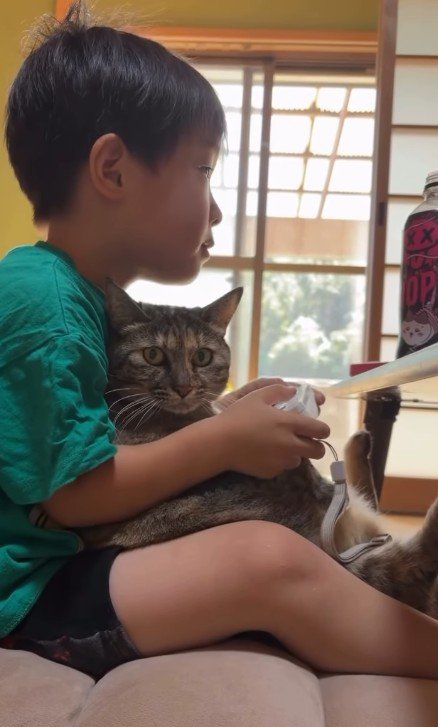 ゲームをしている男の子と猫