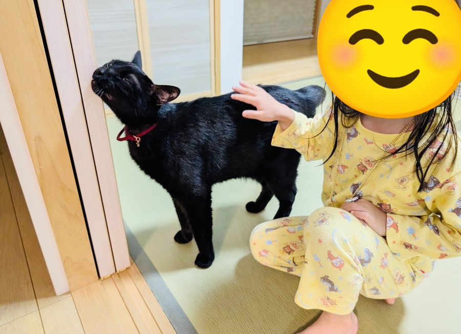 女の子に撫でられる黒猫