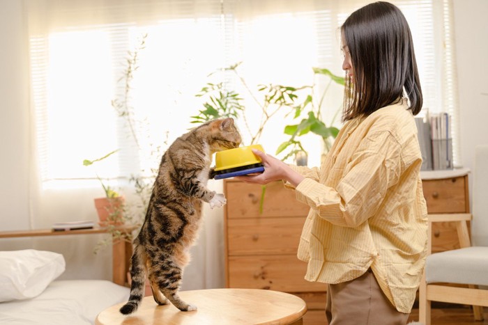 人が持った食器を立ってのぞく猫
