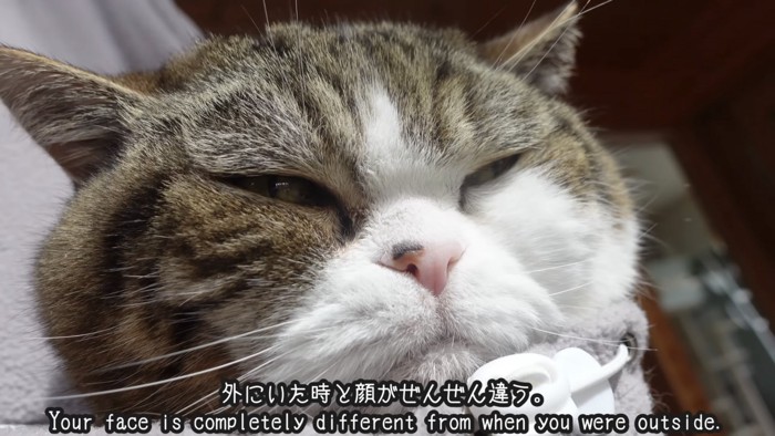 「外にいた時と...」のテロップ写真