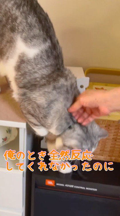 愚痴をこぼす男性
