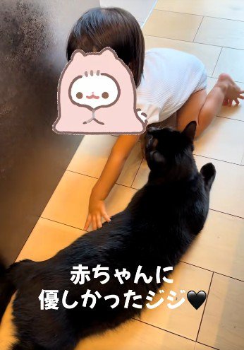床に寝そべっている猫と座っている赤ちゃん