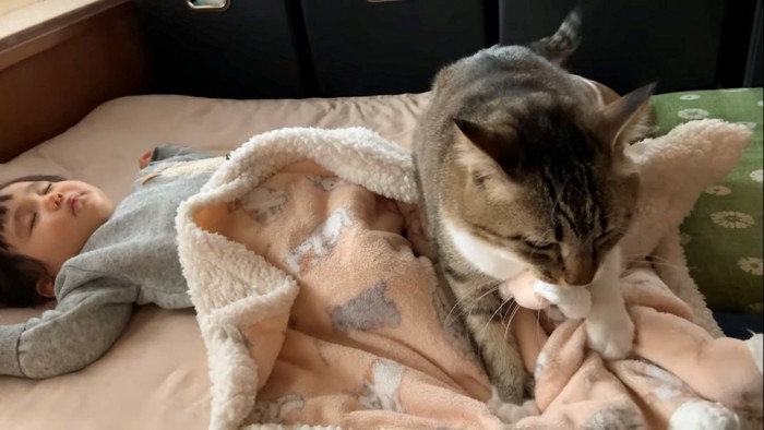 ふみふみしている猫とまたがられている赤ちゃん