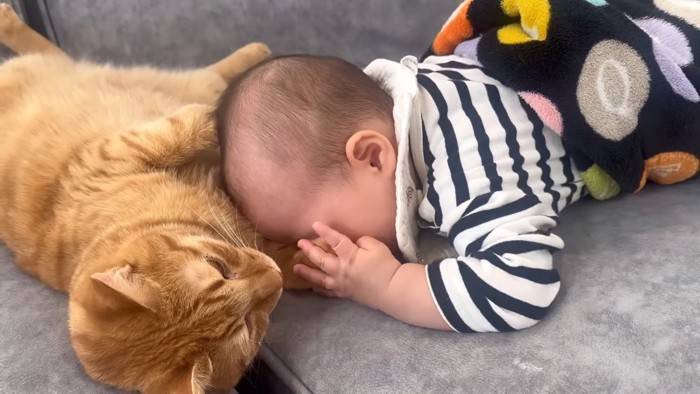 くっつく赤ちゃん