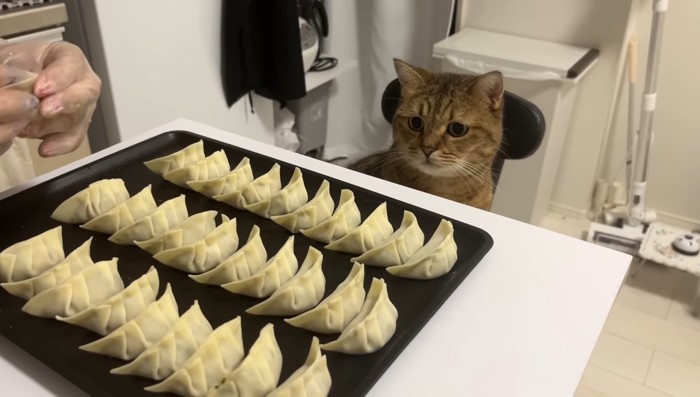 量産された餃子