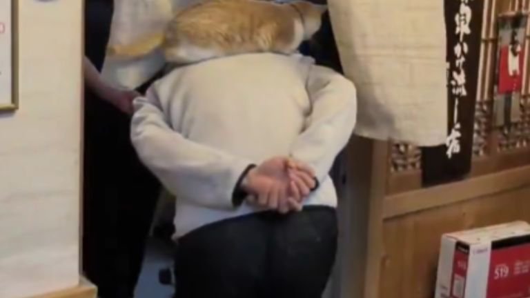 猫を背に乗せている男性