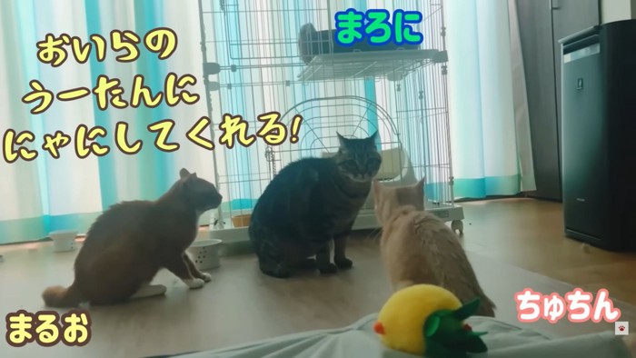 テロップ「おいらのうーたんに～」