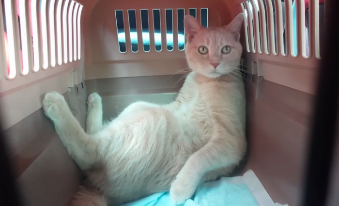 外に視線を向ける