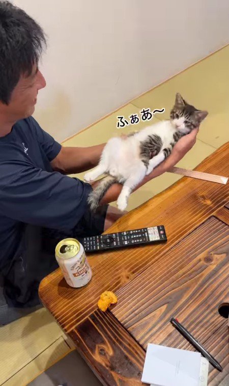 てのひらの上の猫