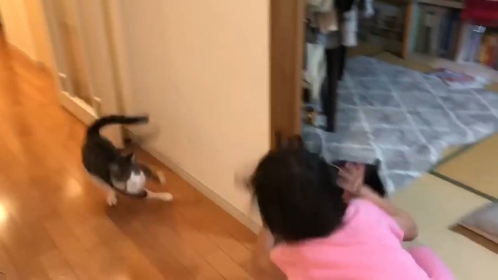 鉢合わせ