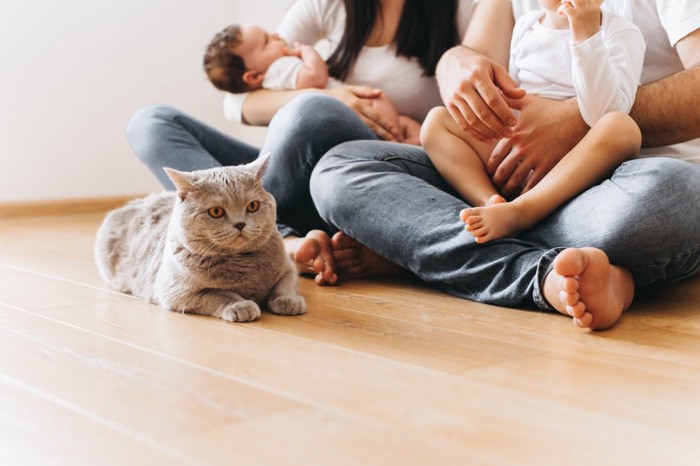 猫と家族みんな