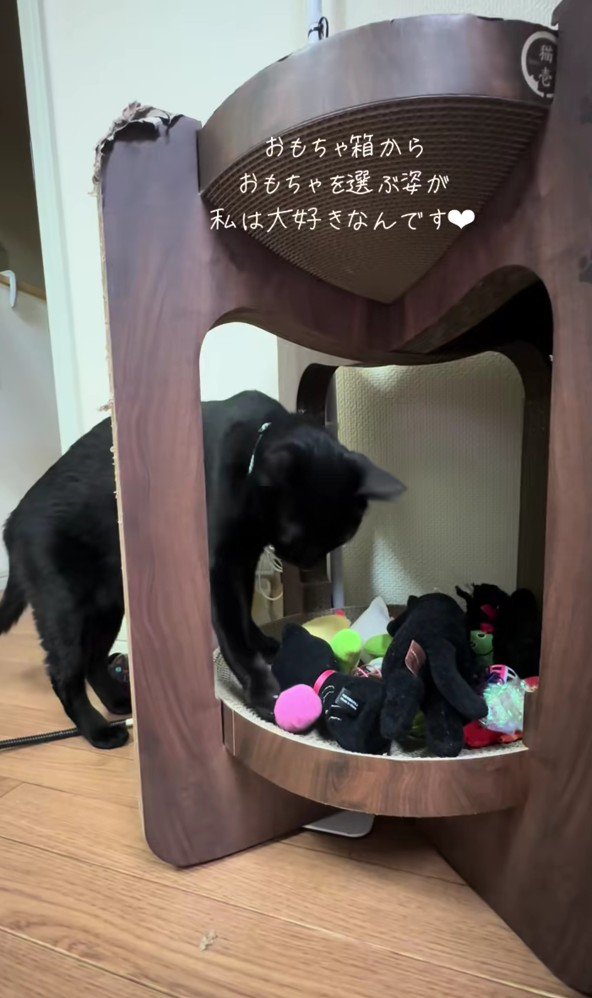 おもちゃを選ぶナイトくん