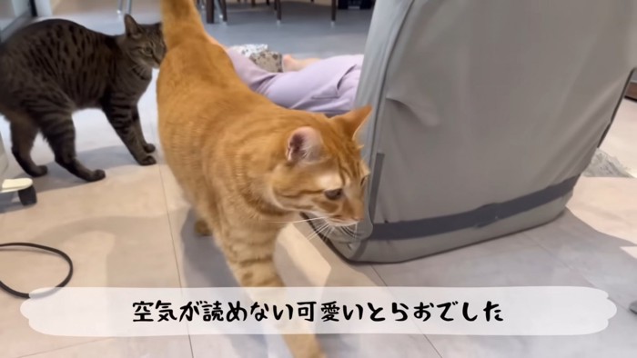 テロップ「空気が読めない～」