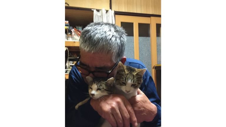 抱かれている猫