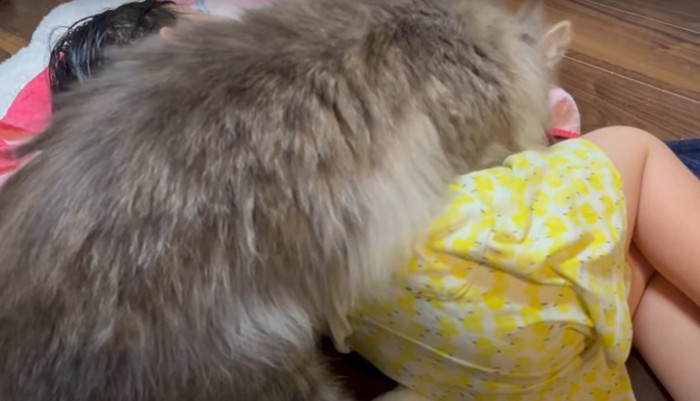 寝ている子供の脇腹に覆いかぶさる猫