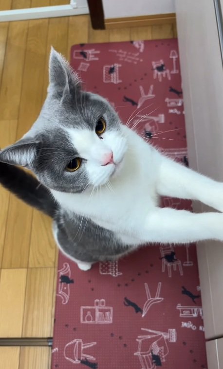 立ち上がるそらくん