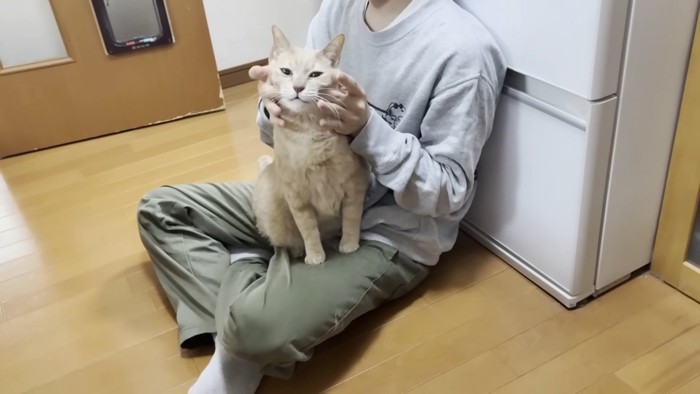 座る人に後ろから両頬を包まれる猫