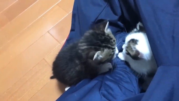 向き合うふたり