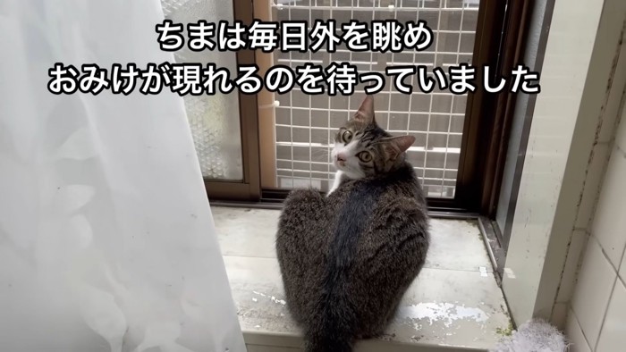 テロップ「ちまは毎日～」