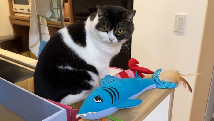 うま次郎くんとオモチャ